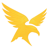 Braveio Logo
